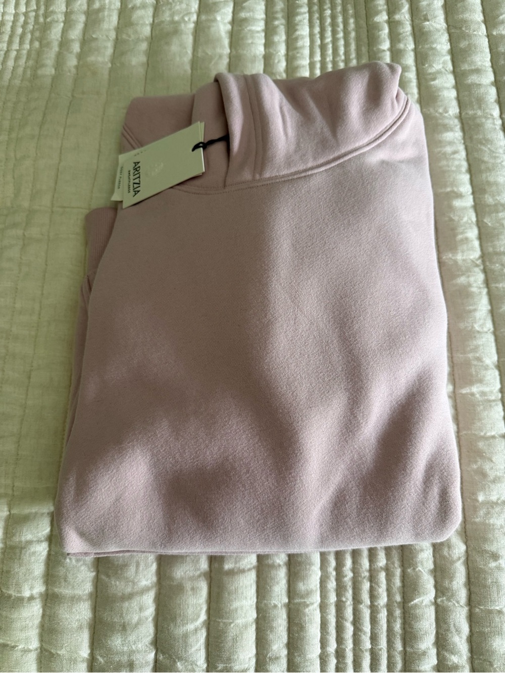 Aritzia Cozy Sweatfleece Perfect Hoodie